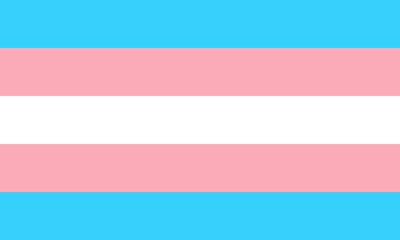 Transgender Flag Illustration